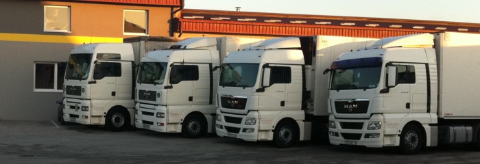 Resize of t1