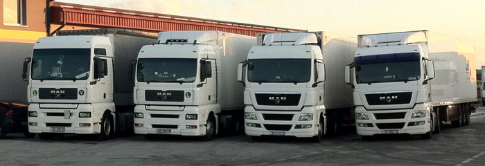Resize of t3