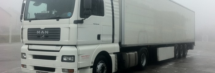 Resize of t4
